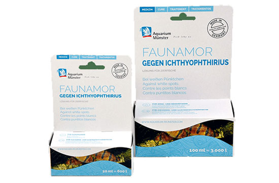 infezione da ichthyophthirius multifiliis